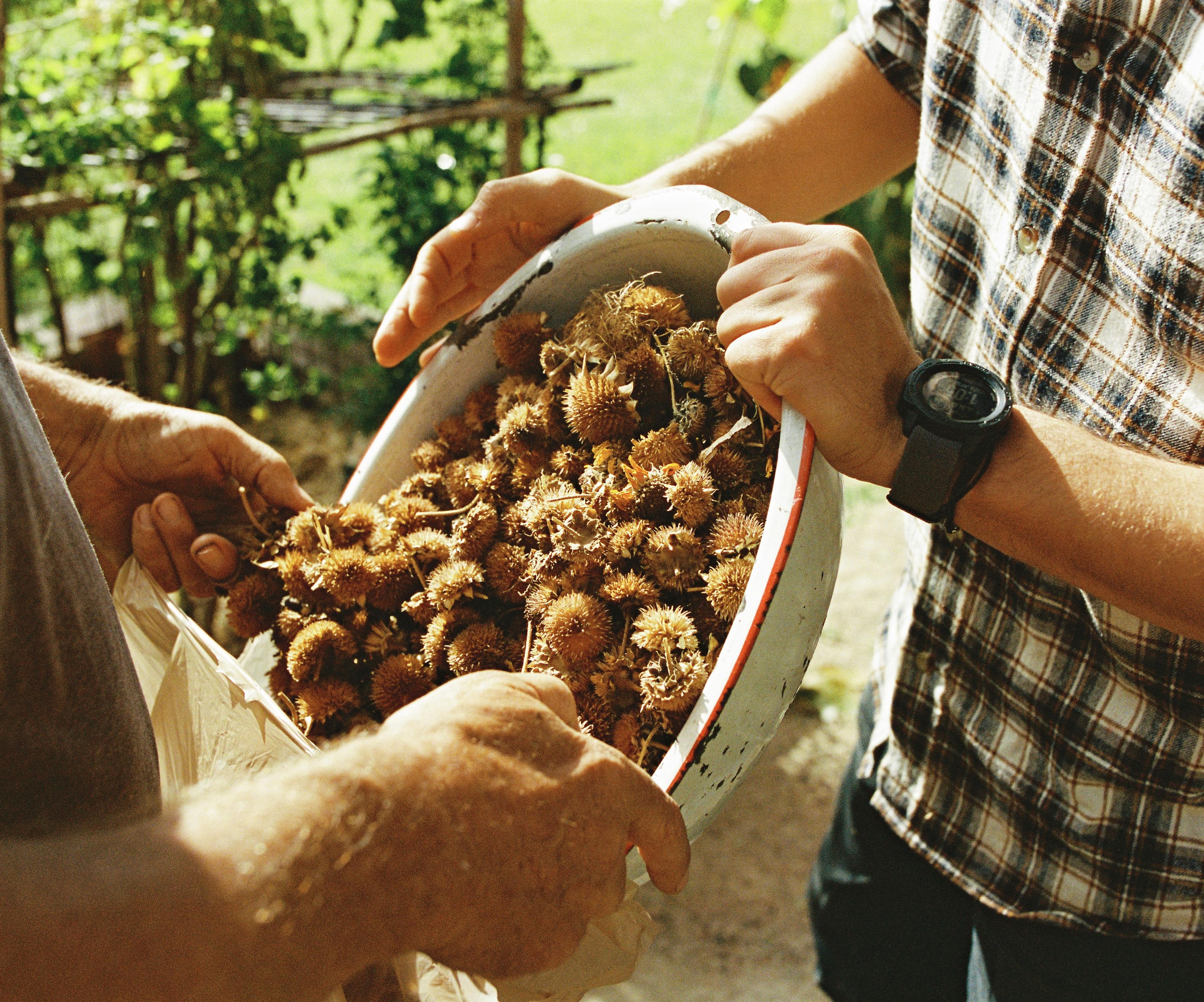 Men's hands working with yard debris on film by Natalie Carrasco