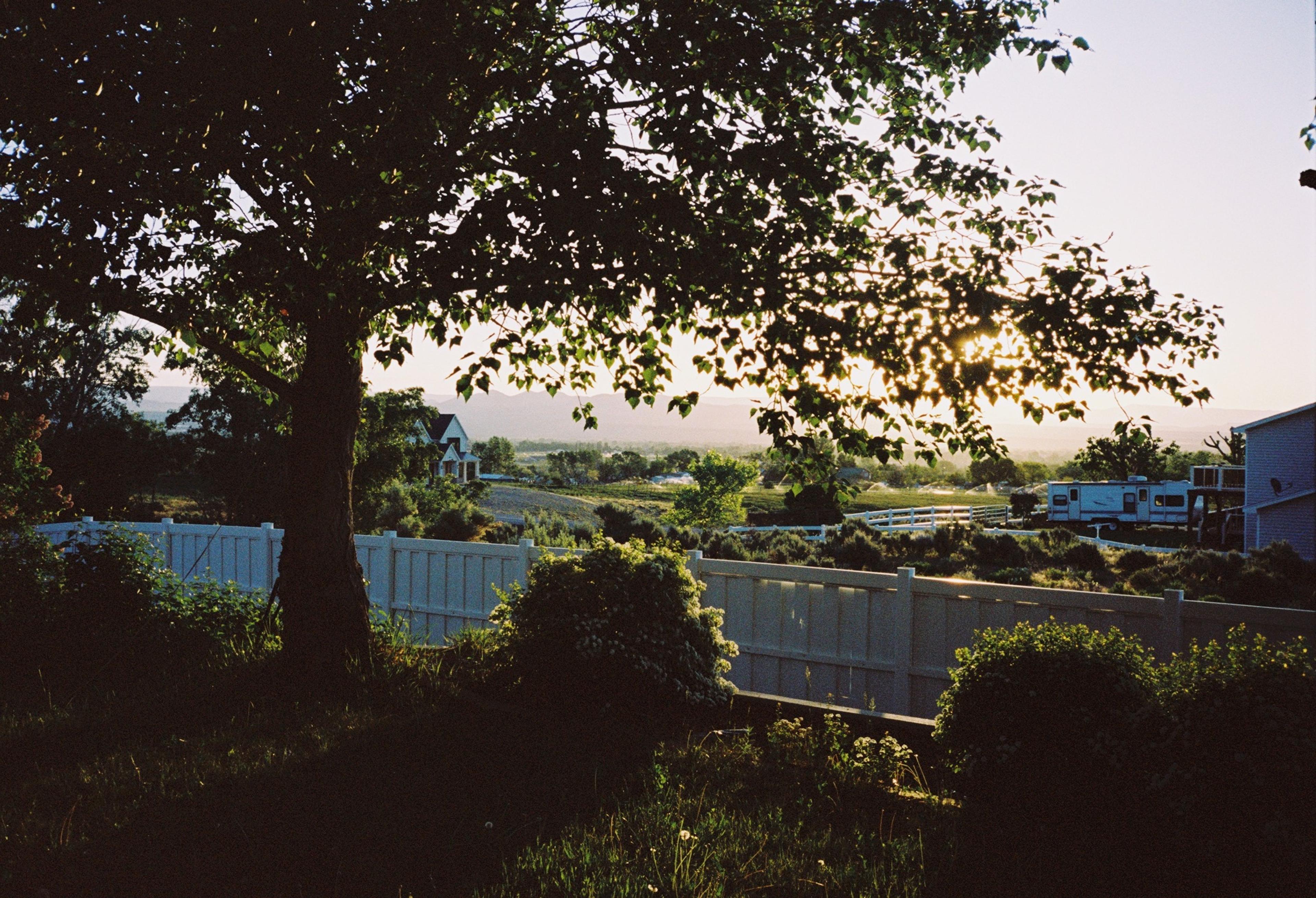 Utah backyard on film by Natalie Carrasco